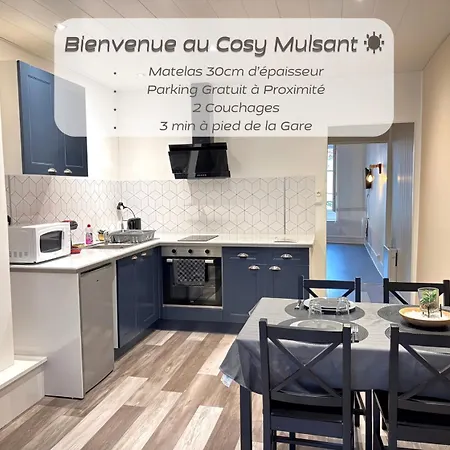 Le Cosy Mulsant Apartment Roanne Exterior photo